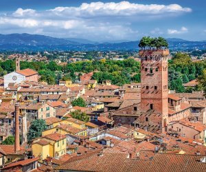 Blick über Lucca - Torre Guinigi