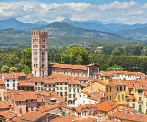 Blick über die Dächer von Lucca