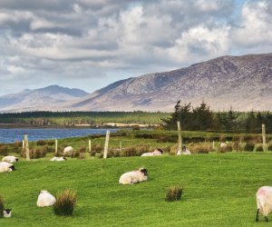 Herrliche Landschaft in Connemara