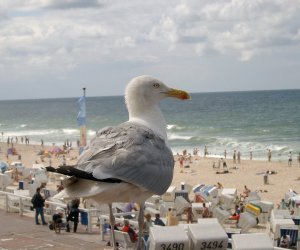 Strand bei Westerland