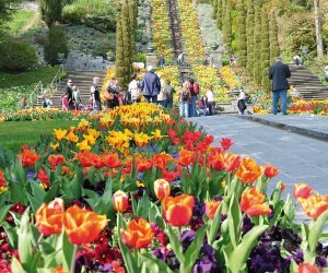 Blumeninsel Mainau