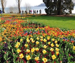 Blumeninsel Mainau