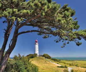 Leuchtturm auf dem Dornbusch - Hiddensee