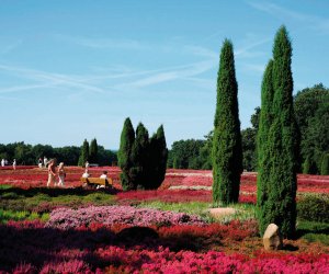 Im Heidegarten Schneverdingen