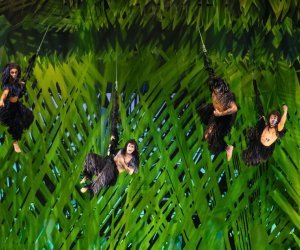 Musical Tarzan