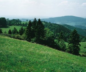Landschaft