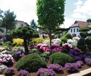 Rhododendronpark Westerstede