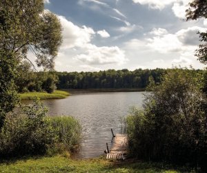 Rominter Heide