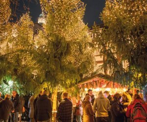 Weihnachtswald mit Marktkirchenturm 