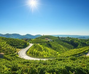 Weinberge in Valdobbiadene
