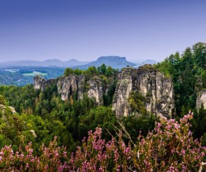 Landschaft im Elbsandsteingebirge