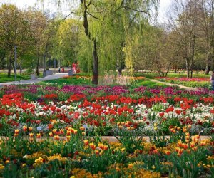 BUGA 23 Mannheim