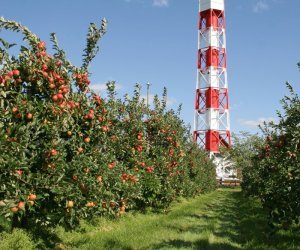 Leuchtturm Gemeinde Jork
