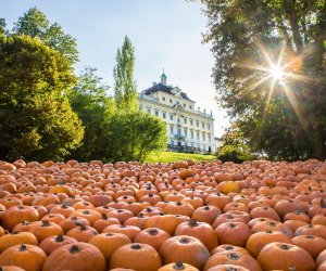 Kürbisausstellung