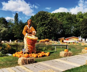Kürbisausstellung Ludwigsburg