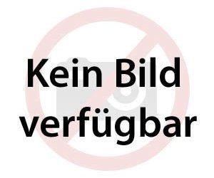 Teufel im Hexenring