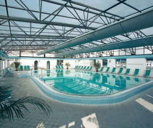 Royal Palm, Forio