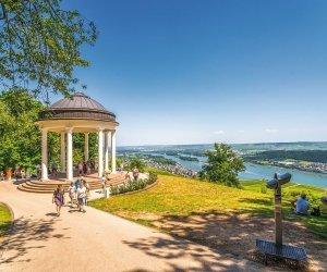 Blick vom Niederwalddenkmal auf den Rhein